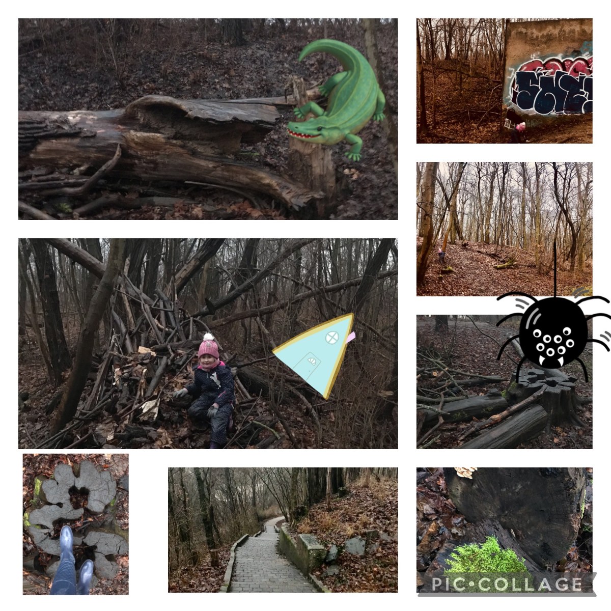 Neu entdecken: Witznitzer Kippe Borna im&nbsp;Winter